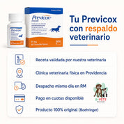 Compra de Previcox en B-Pets: receta validada por veterinaria, clínica en Providencia y despacho en RM