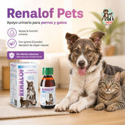Renalof Pets como apoyo urinario en perros y gatos, con grama Cynodon dactylon de origen natural