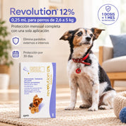 Perro pequeño junto a la caja de Revolution 12% 0,25 mL con protección mensual de una sola aplicación