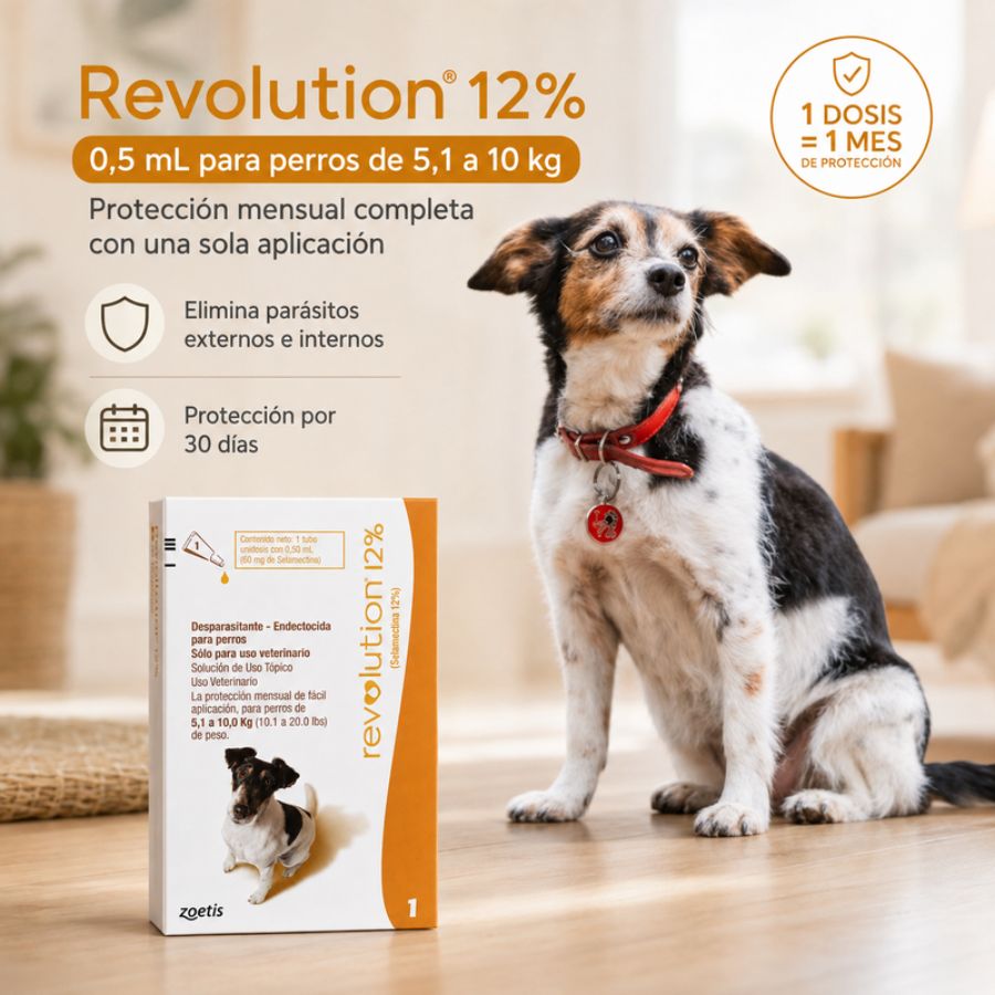 Perro junto a la caja de Revolution 12% 0,5 mL con beneficios de protección mensual contra parásitos