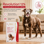 Perro junto a la caja de Revolution 12% 1 mL con protección mensual completa en una sola aplicación