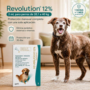 Perro grande junto a la caja de Revolution 12% 2 mL con protección mensual completa en una aplicación