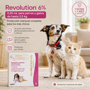 Perro pequeño y gatito junto a la caja de Revolution 6% con protección mensual para los más chicos