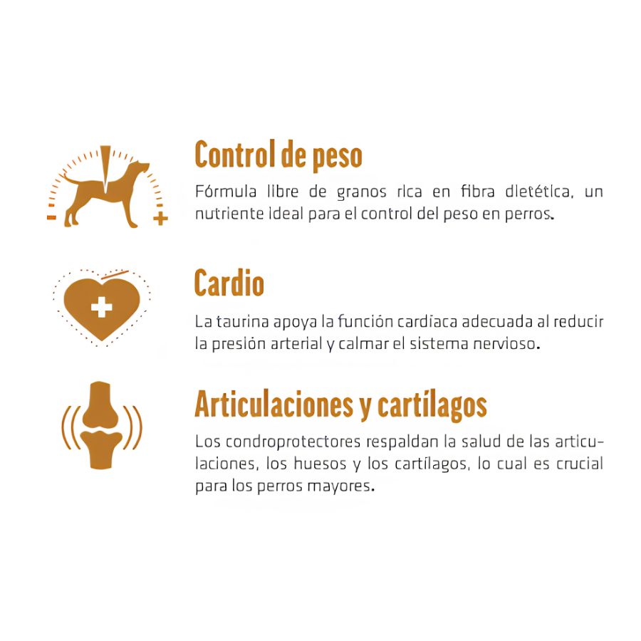 Infografía de Brit Care Senior & Light: control de peso, cuidado cardíaco y salud de articulaciones y cartílagos