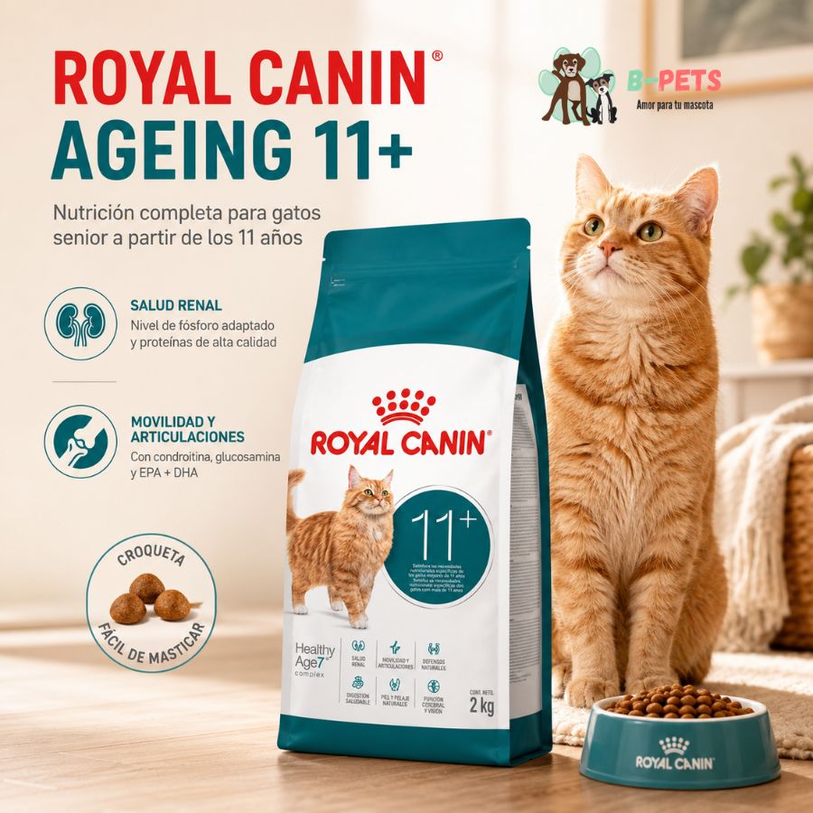 Gato naranja senior sentado junto al saco de 2 kg de Royal Canin Ageing 11+ y un plato con croquetas