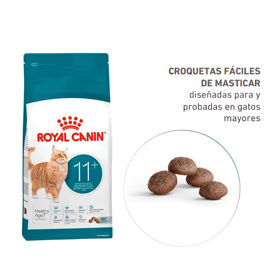 Croqueta de Royal Canin Ageing 11+ diseñada y probada en gatos mayores, junto al saco de 2 kg