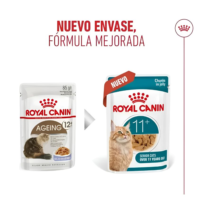Cambio del sobre Royal Canin Ageing 12+ al nuevo envase Ageing 11+ para gatos senior