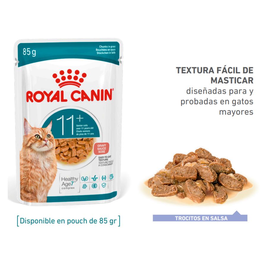Trocitos en salsa de textura fácil de masticar del Royal Canin Ageing 11+ junto al sobre de 85 g