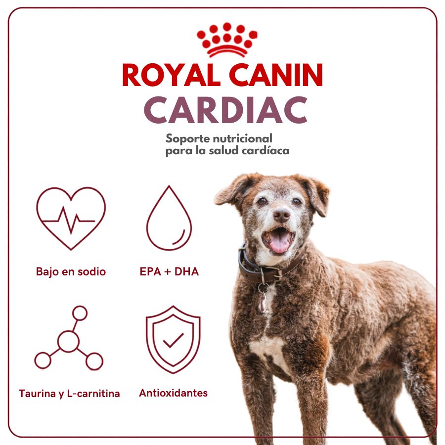 Beneficios de Royal Canin Cardiac: bajo en sodio, EPA y DHA, taurina y L-carnitina y antioxidantes