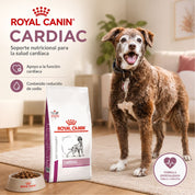 Perro senior junto al saco de Royal Canin Cardiac y plato de croquetas, dieta de apoyo cardíaco baja en sodio