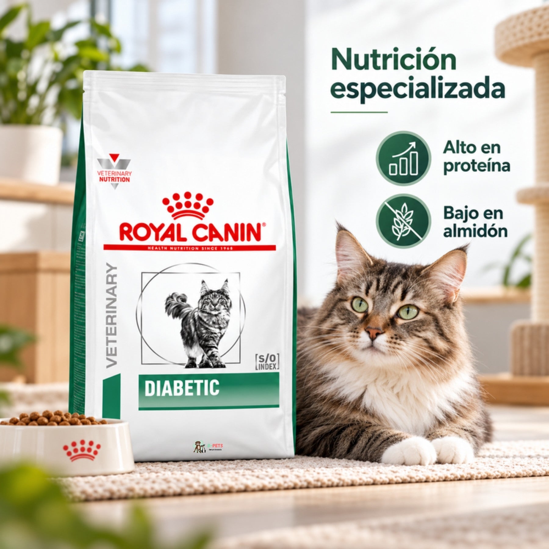 Gato atigrado junto al saco Royal Canin Diabetic y un plato de croquetas, con íconos de alto en proteína y bajo en almidón