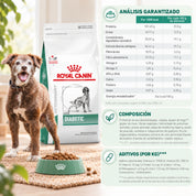 Análisis garantizado, composición y aditivos por kg de Royal Canin Diabetic perro, junto a un perro y el saco