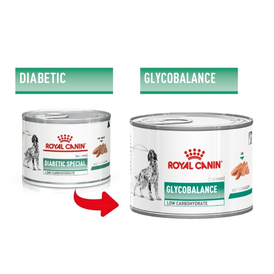 Comparativa de latas Royal Canin: Diabetic Special ahora se llama Glycobalance, alimento bajo en carbohidratos