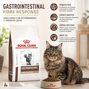 Gato atigrado junto a la bolsa de Gastrointestinal Fibre Response y sus cuatro claves: tránsito fácil y soporte digestivo