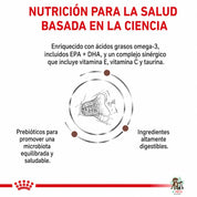 Infografía de Gastrointestinal Fibre Response Gato: omega 3 con EPA y DHA, vitamina E, vitamina C, taurina y prebióticos