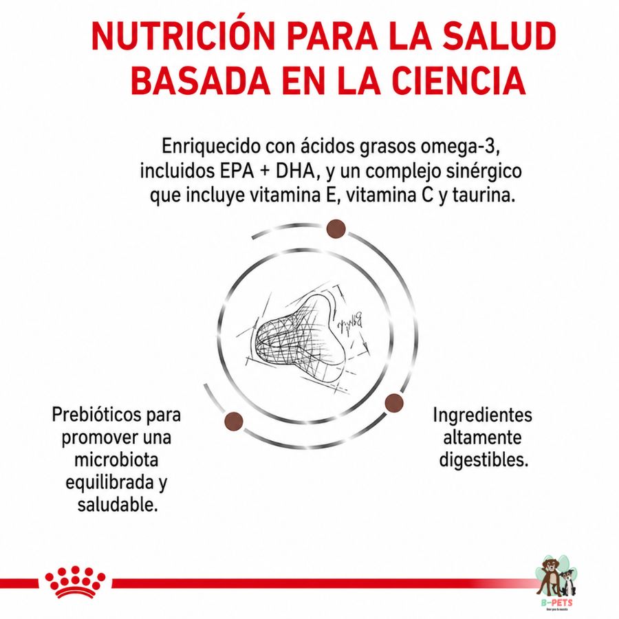 Infografía de Gastrointestinal Fibre Response Gato: omega 3 con EPA y DHA, vitamina E, vitamina C, taurina y prebióticos