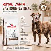 Royal Canin Gastrointestinal perro con saco y perro: soporte digestivo, alta energía y alta palatabilidad