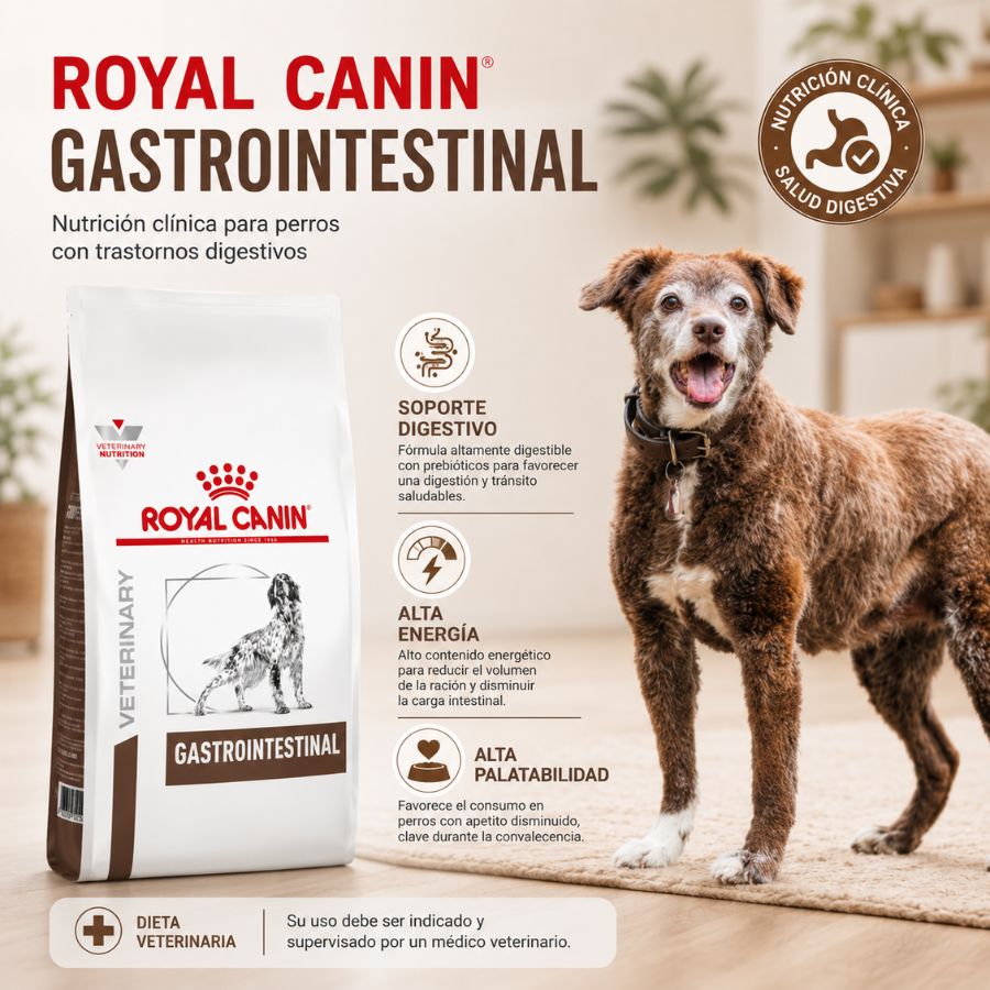 Royal Canin Gastrointestinal perro con saco y perro: soporte digestivo, alta energía y alta palatabilidad