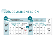 Guía de alimentación del saco Royal Canin Ageing 15+ con raciones diarias en esquema mixto y solo croqueta