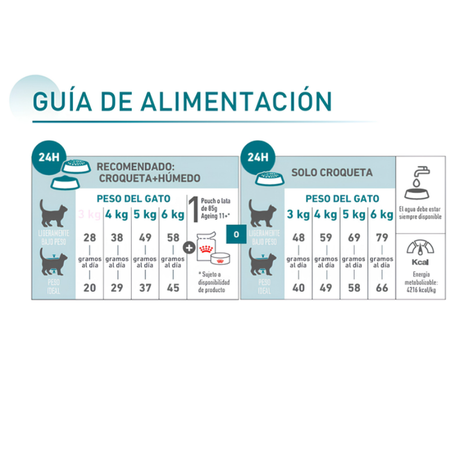 Guía de alimentación del saco Royal Canin Ageing 15+ con raciones diarias en esquema mixto y solo croqueta