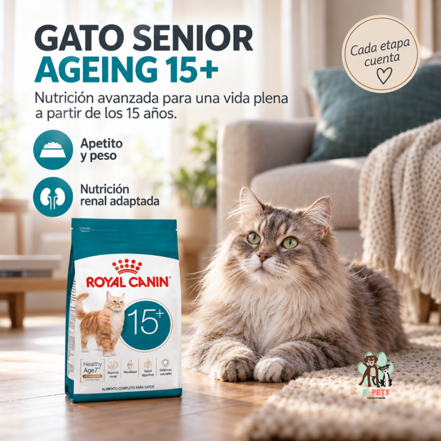 Gato senior junto al saco Royal Canin Ageing 15+ con los beneficios de apetito, peso y nutrición renal adaptada