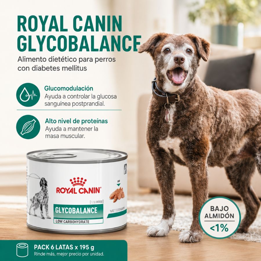 Beneficios del pack 6 latas Royal Canin Glycobalance: glucomodulación, alto nivel de proteínas y bajo almidón