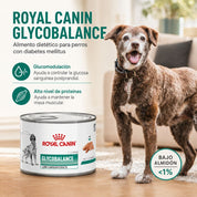 Infografía Royal Canin Glycobalance para perros diabéticos: glucomodulación, proteínas altas y bajo almidón