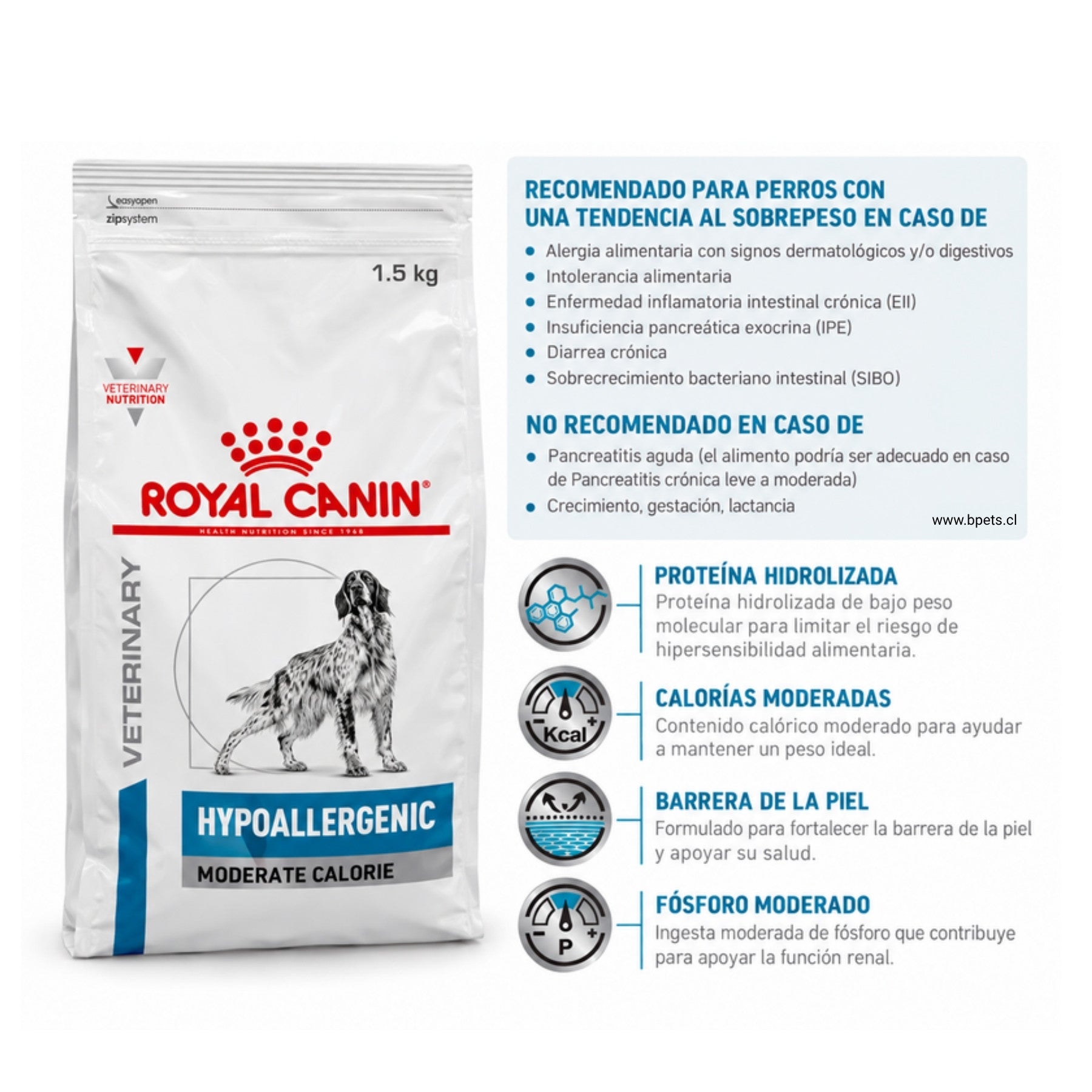 Infografía de Hypoallergenic Moderate Calorie: para qué perros se recomienda, contraindicaciones y beneficios