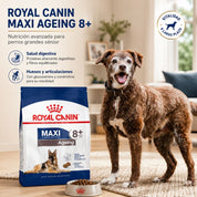 Perro sénior de raza grande junto a su plato y la bolsa de Royal Canin Maxi Ageing 8+ en el living de la casa