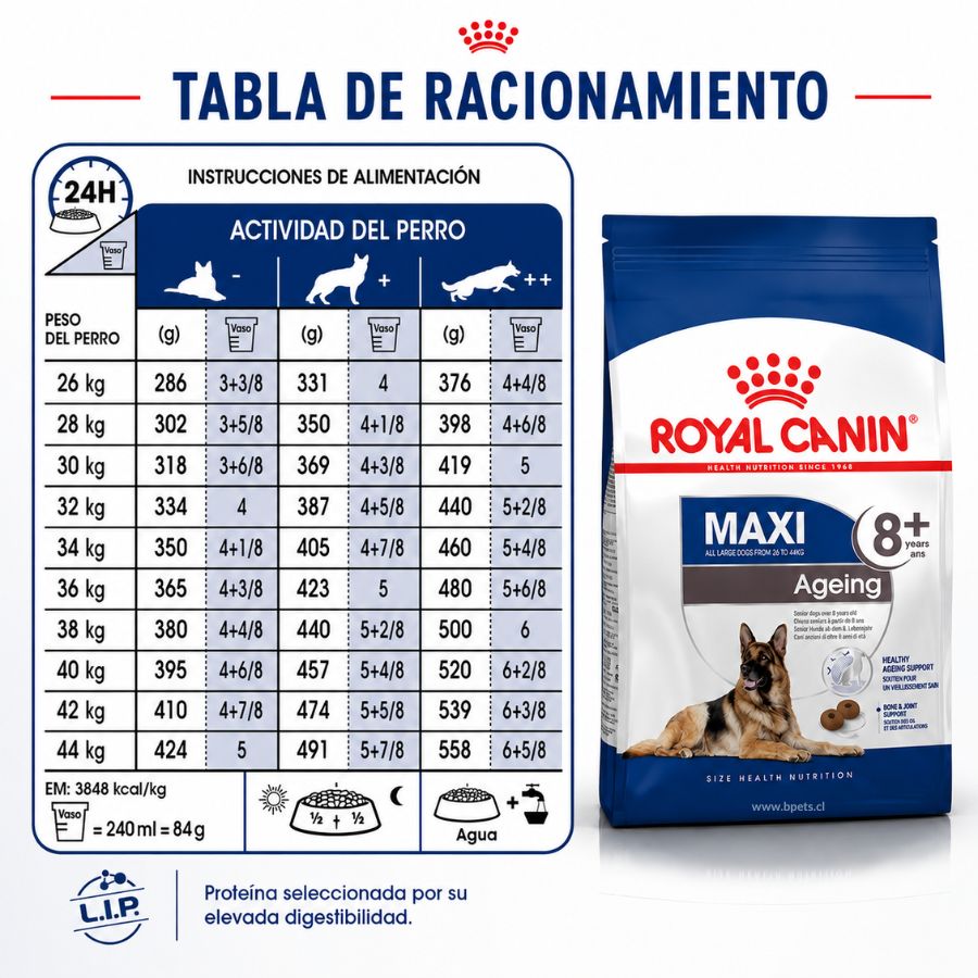 Tabla de racionamiento diario de Royal Canin Maxi Ageing 8+ según peso del perro de 26 a 44 kg y actividad
