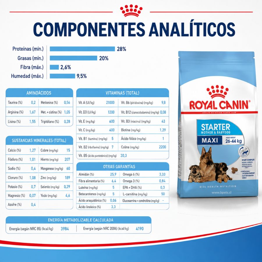 Componentes analíticos de Royal Canin Maxi Starter: proteínas, grasas, aminoácidos, minerales y vitaminas