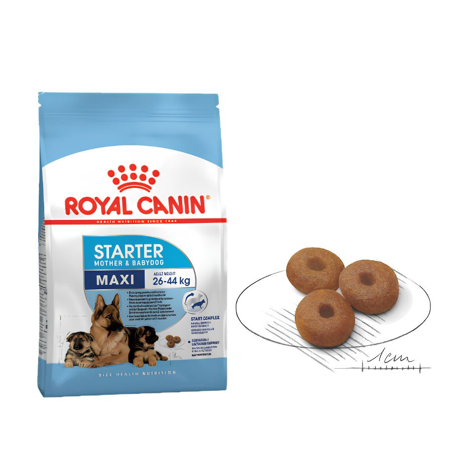 Croqueta de 1 cm de Royal Canin Maxi Starter junto a la bolsa, con escala que muestra su tamaño real