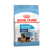 Royal Canin Maxi Starter Mother & Babydog 10Kg