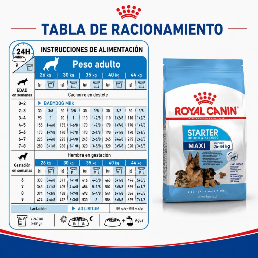 Tabla de racionamiento de Royal Canin Maxi Starter por semana de destete y de gestación de la perra