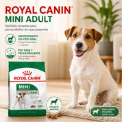 Royal Canin Mini Adult con perro de raza pequeña y beneficios de peso ideal y pelaje sano con EPA y DHA