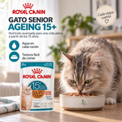 Gato senior comiendo el sobre Royal Canin Ageing 15+, que suma agua en cada ración y textura fácil de comer