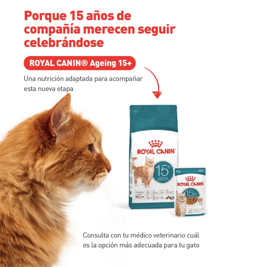 Sobre y saco de la línea Royal Canin Ageing 15+ para acompañar la nueva etapa del gato súper senior
