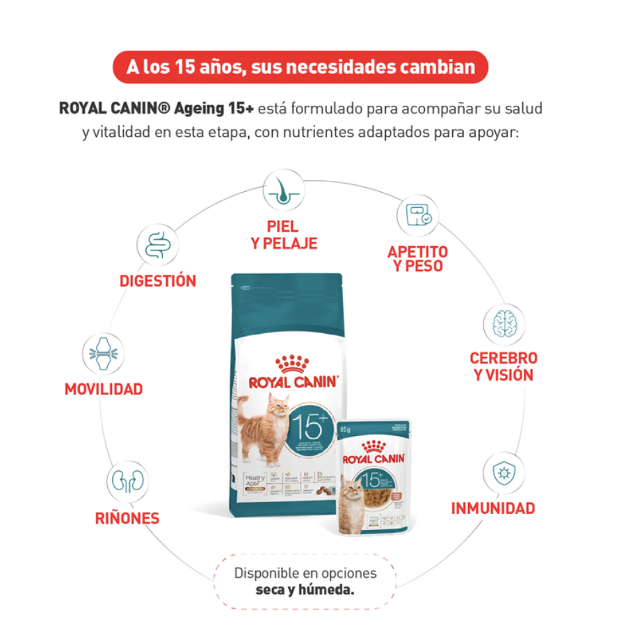 Necesidades del gato sobre los 15 años cubiertas por Royal Canin Ageing 15+ en sus opciones seca y húmeda