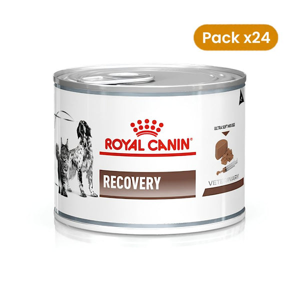 Lata de Royal Canin Recovery, alimento húmedo de dieta veterinaria para perros y gatos, pack de 24 unidades