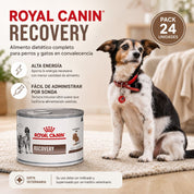 Royal Canin Recovery pack 24 latas para perros y gatos en convalecencia: alta energía y fácil administración por sonda