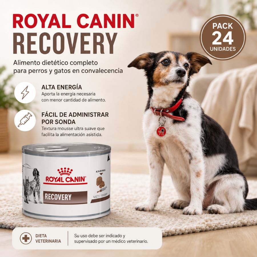 Royal Canin Recovery pack 24 latas para perros y gatos en convalecencia: alta energía y fácil administración por sonda