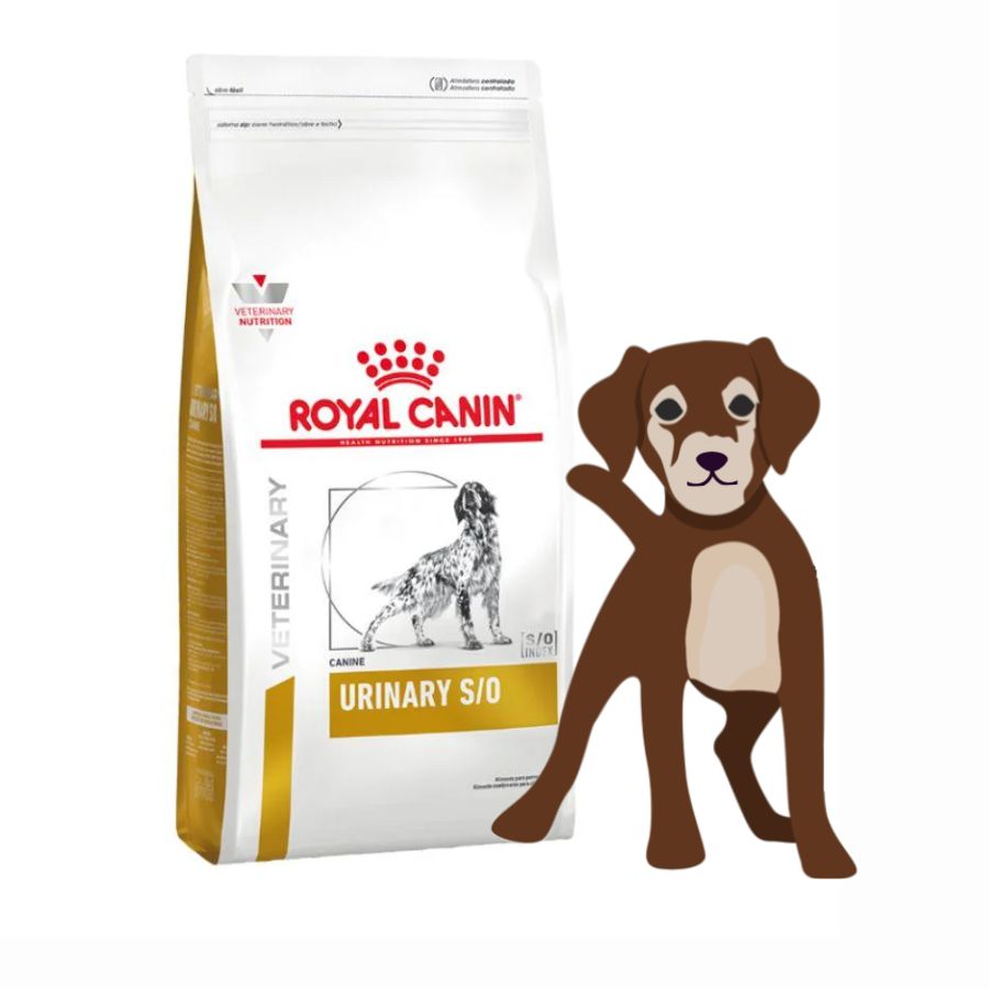 Royal Canin Urinary S/O Canine 1.5kg disuelve cálculos de estruvita y previene su reaparición. Mantén la salud urinaria con una fórmula acidificante y bajo magnesio.