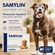 Beneficios de Samylin Razas Grandes: apoyo hepático y acción antioxidante para perro grande sobre 30 kg