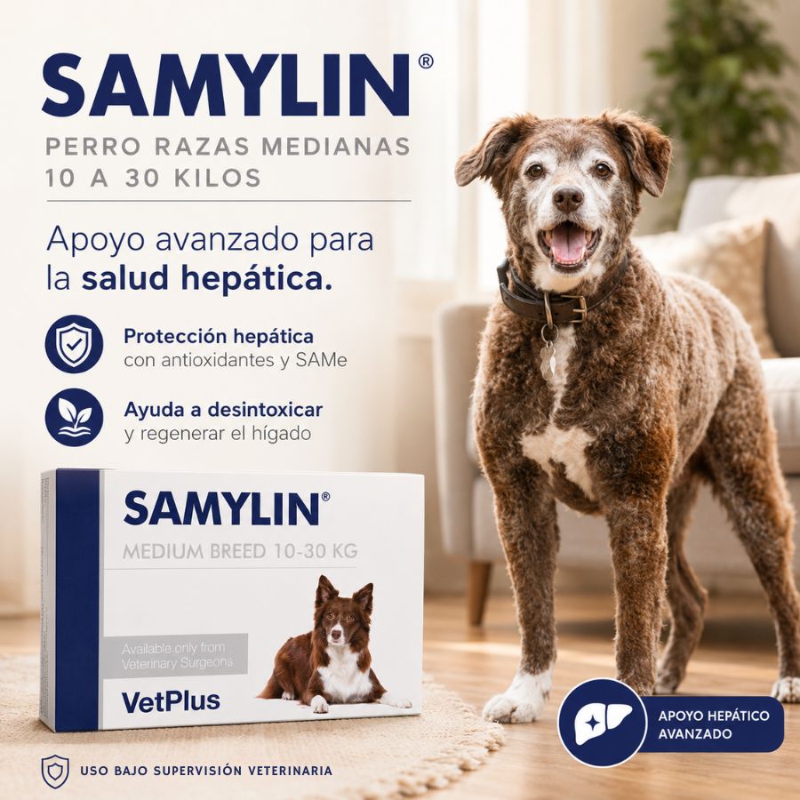 Beneficios de Samylin Razas Medianas: apoyo hepático con SAMe y antioxidantes, para perro de 10 a 30 kg