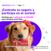 Seguro mascotas B-Pets MachBank – cobertura perros y gatos 2025