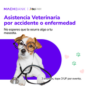 Cobertura veterinaria mascotas B-Pets: traslado, asistencia, hotel, vacunación