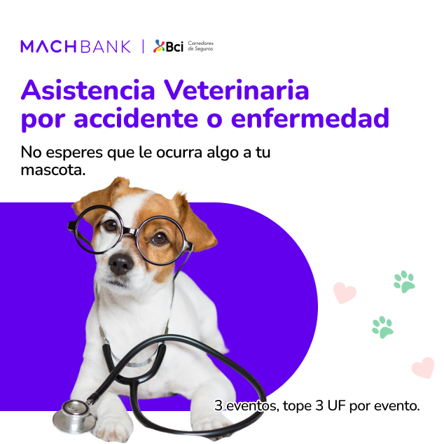 Cobertura veterinaria mascotas B-Pets: traslado, asistencia, hotel, vacunación