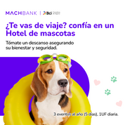 Seguro anual mascotas B-Pets MachBank — tranquilidad para tu peludo