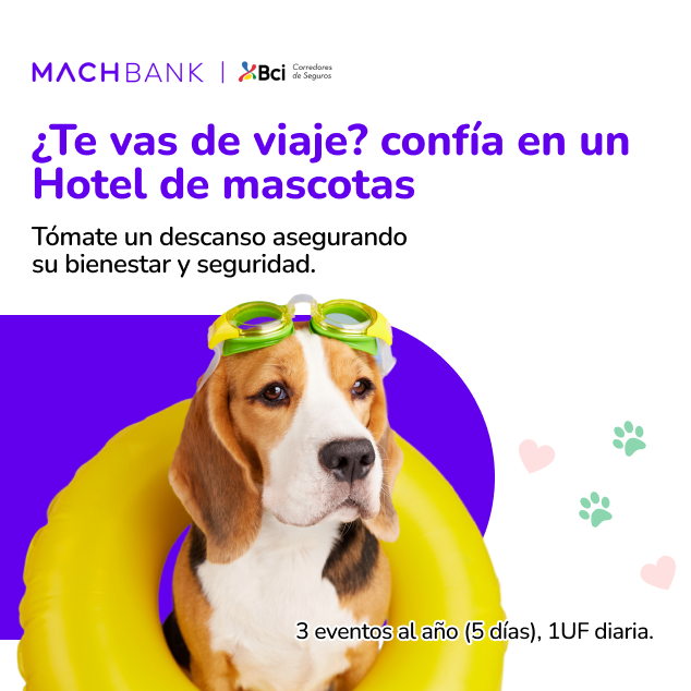 Seguro anual mascotas B-Pets MachBank — tranquilidad para tu peludo
