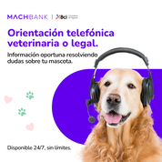 Seguro mascotas B-Pets MachBank – cobertura perros y gatos 2025